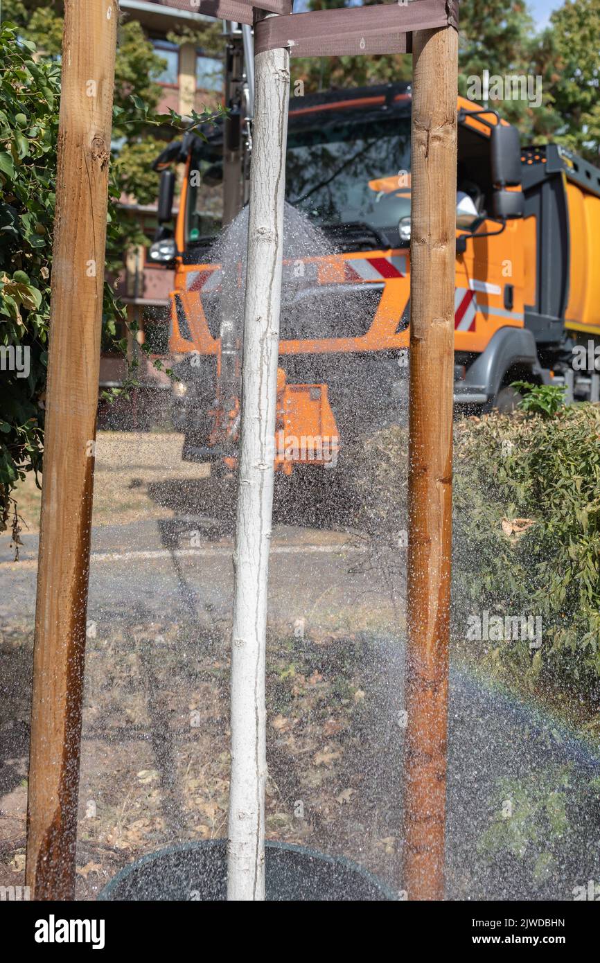 tree watering with commercial vehicle Stock Photo