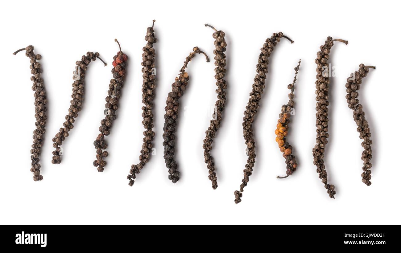 dried black peppercorns, dry black pepper fruits or drupes isolated on