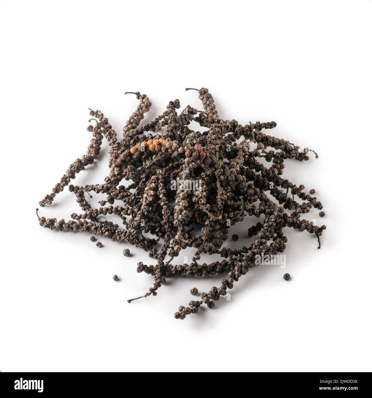 pile of dried black peppercorns, dry black pepper fruits or drupes