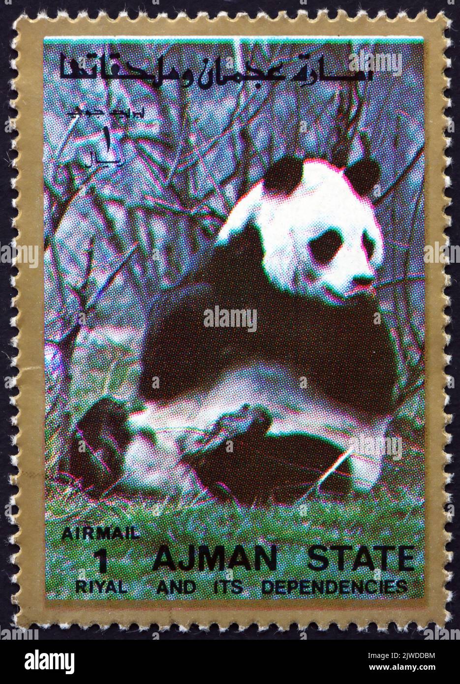 AJMAN - CIRCA 1973: a stamp printed in Ajman shows giant panda, ailuropoda melanoleuca, is a bear species endemic to China, circa 1973 Stock Photo