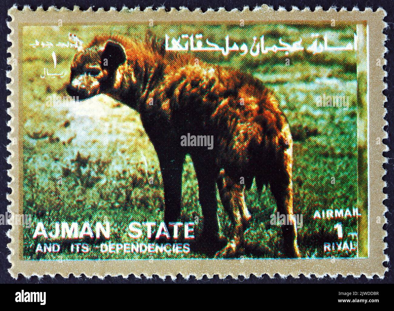 AJMAN - CIRCA 1973: a stamp printed in Ajman shows spotted hyena, crocuta crocuta, is a hyena species native to sub-Saharan Africa, circa 1973 Stock Photo