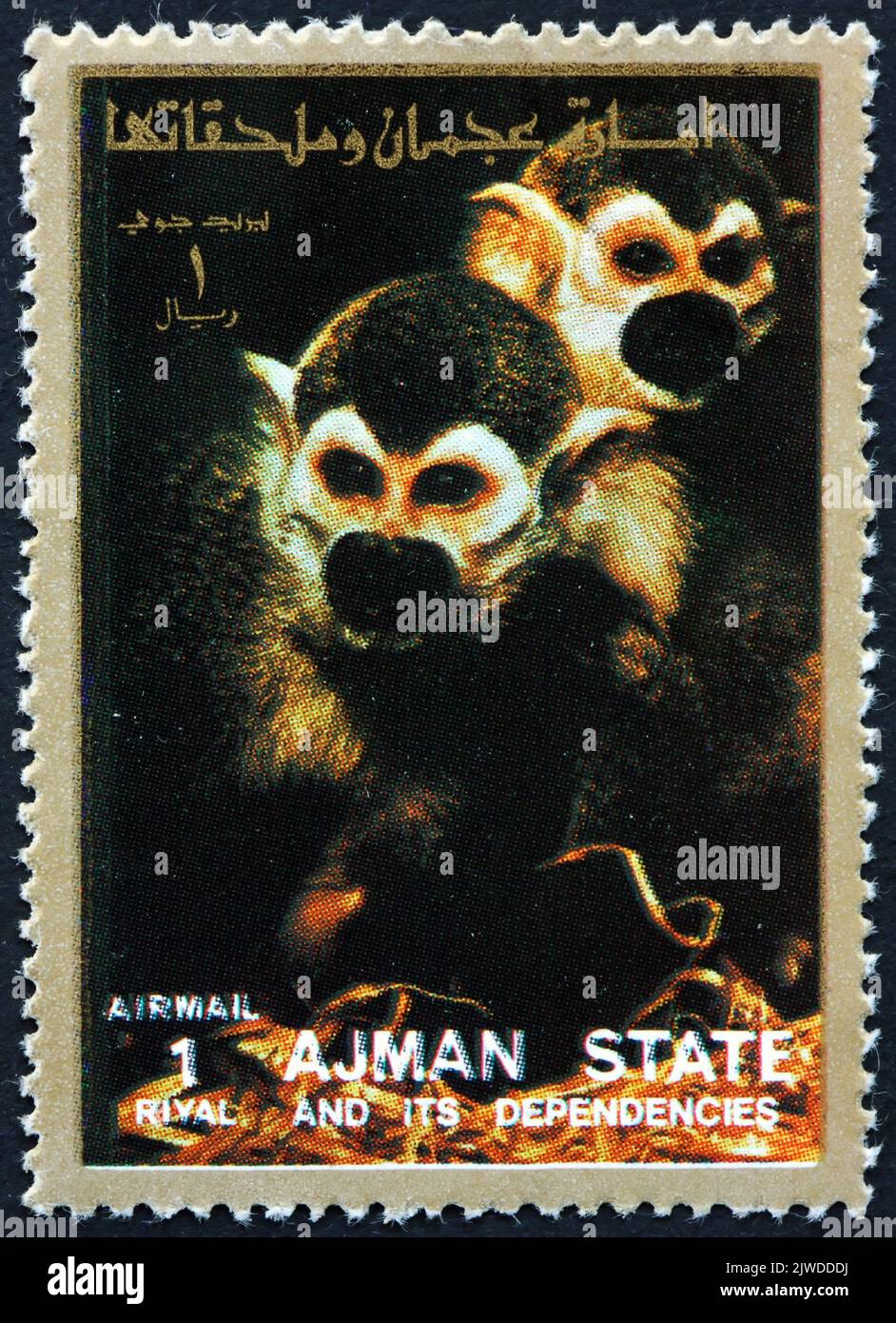 AJMAN - CIRCA 1973: a stamp printed in Ajman shows squirrel monkey, saimiri sciureus, are New World monkeys native to the tropical forests of Central Stock Photo