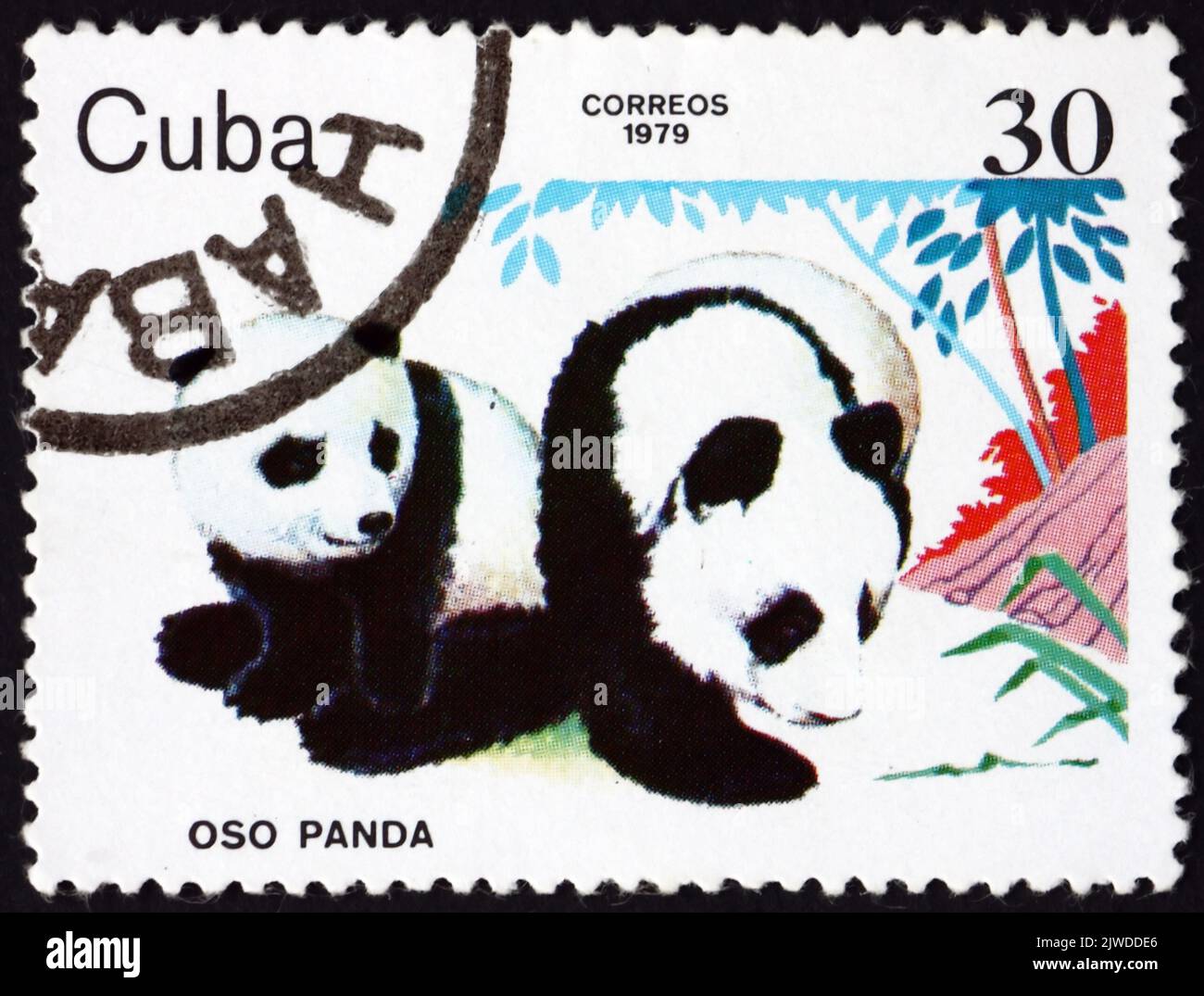 CUBA - CIRCA 1979: a stamp printed in Cuba shows pandas, ailuropoda melanoleuca, is a bear species endemic to China, zoo animal, circa 1979 Stock Photo