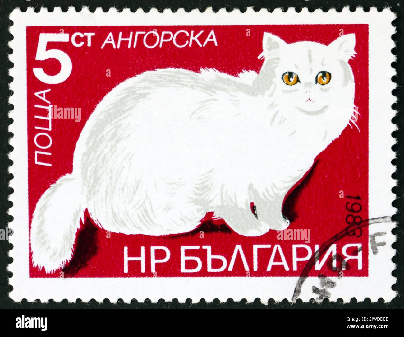 BULGARIA - CIRCA 1983: a stamp printed in Bulgaria shows Angora cat, is a breed of domestic cat, circa 1983 Stock Photo
