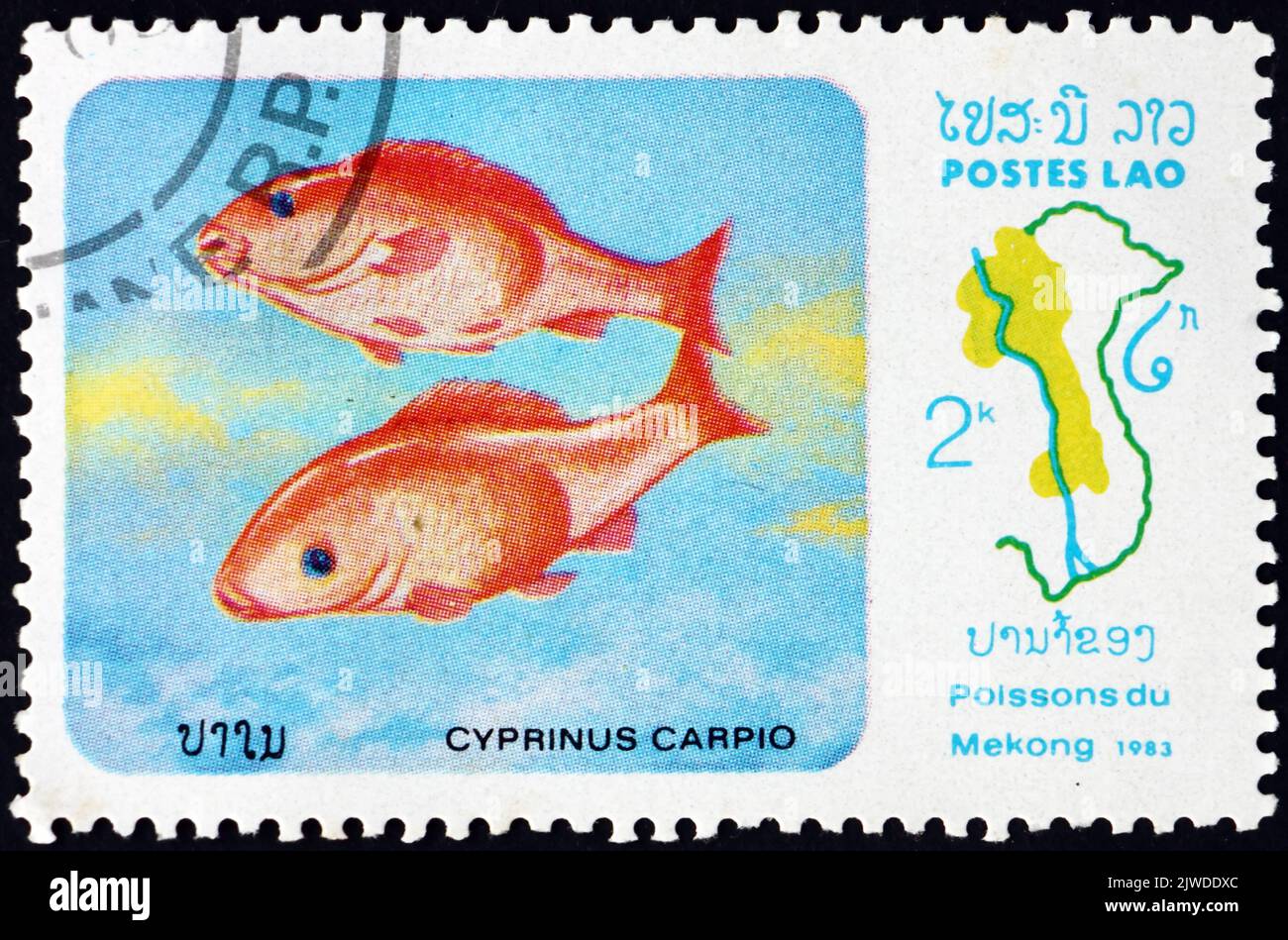 LAOS - CIRCA 1983: a stamp printed in Laos shows Eurasian carp, cyprinus carpio, is a widespread freshwater fish in lakes and large rivers in Europe a Stock Photo