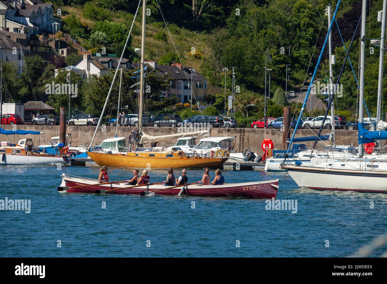 skiff rowing in the River Dart in Dartmouth Harbour Stock Photo
