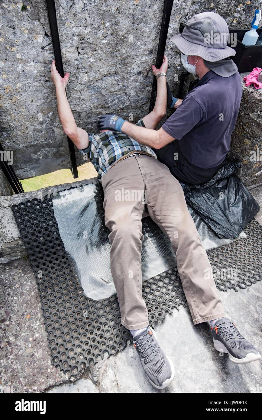 Kissing the Blarney Stone, a block of carboniferous limestone built into the battlements at Blarney Castle and Gardens, Blarney, Co. Cork, Stock Photo