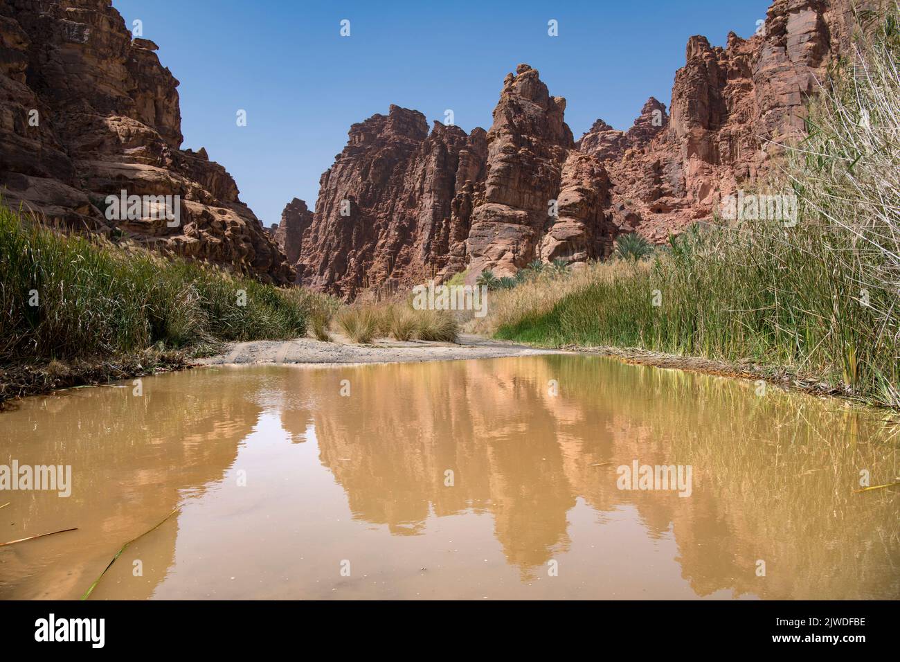 Rugged landscape with pool  Wadi Disah Tabuk Province Saudi Arabia Stock Photo