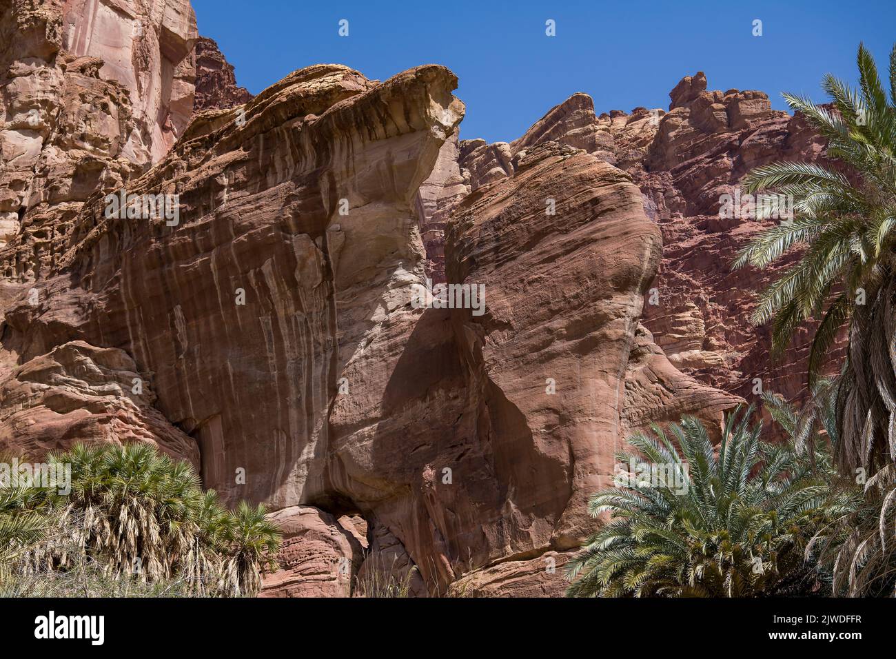 Spectacular cliff face Wadi Disah Tabuk Province Saudi Arabia 1 Stock Photo