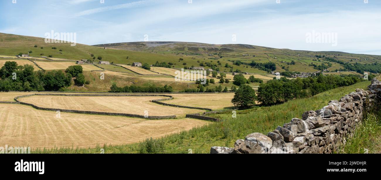 Views across mown fields in Swaledale to Gunnerside and Electric Gate Climb - a steep cycling hill climb, Yorkshire Dales National Park, England, UK Stock Photo