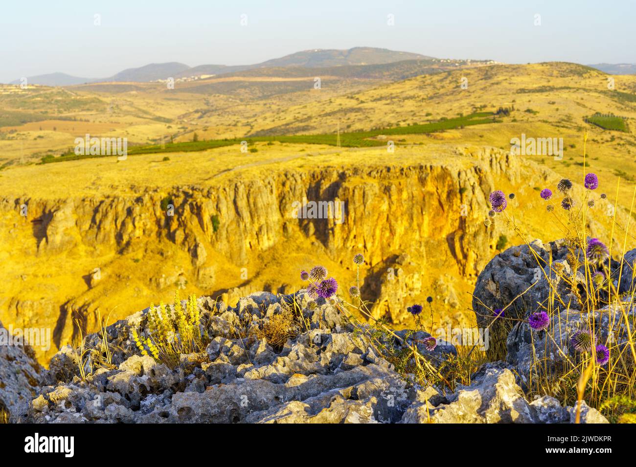 View of wildflowers and the cliffs of Mount Nitai in the background, in mount Arbel, Northern Israel Stock Photo