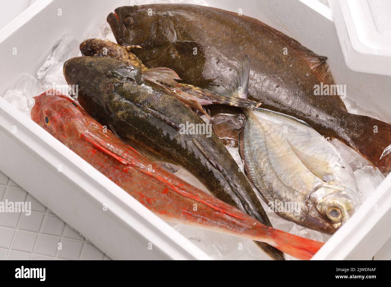 Japanese fresh fish box includes the best selections from the morning's catches. Stock Photo