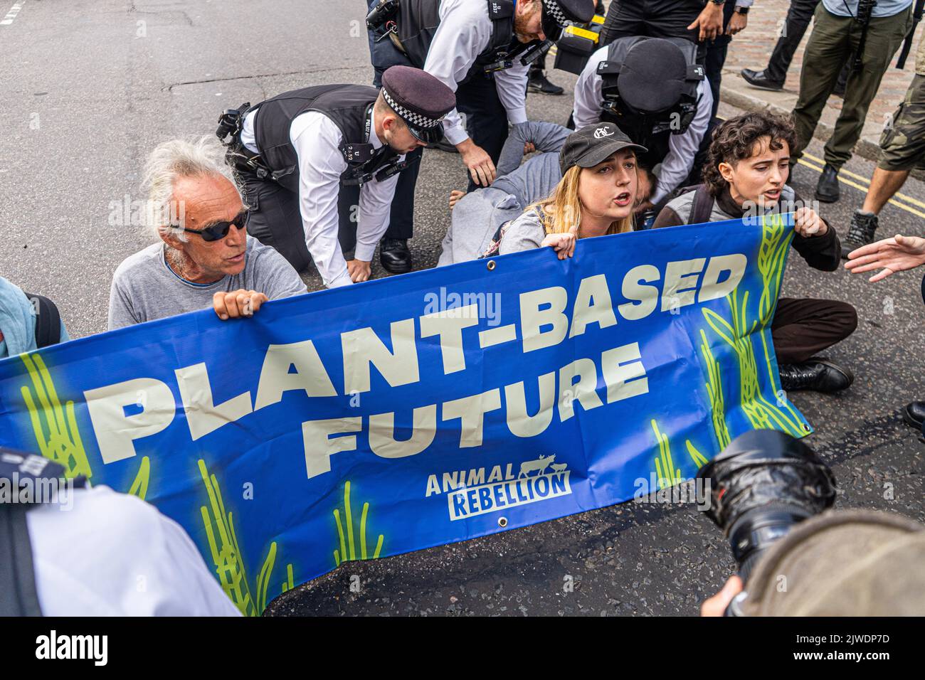 London UK. 5 September 2022.  Animal rebellion protesters  demonstrate for a plant based future as they stage a sit by blocking the road opposite the Queen Elizabeth II centre  before  Liz Truss is due to be sworn in  as the new Conservative party leader and prime minister  Credit amer ghazzal/Alamy Live News Stock Photo