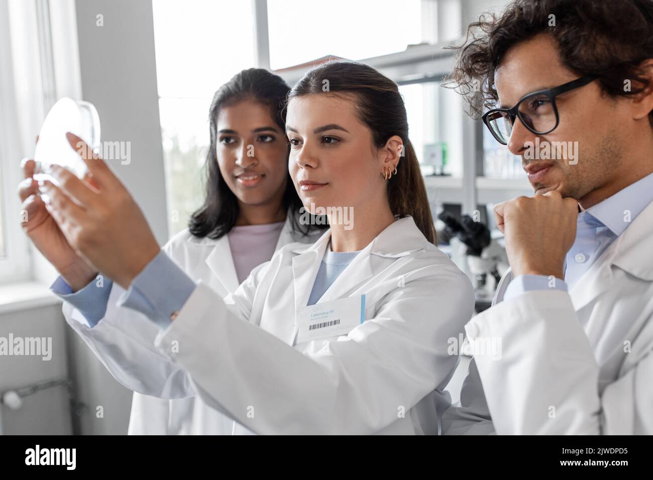 group of scientists with petri dish in laboratory Stock Photo