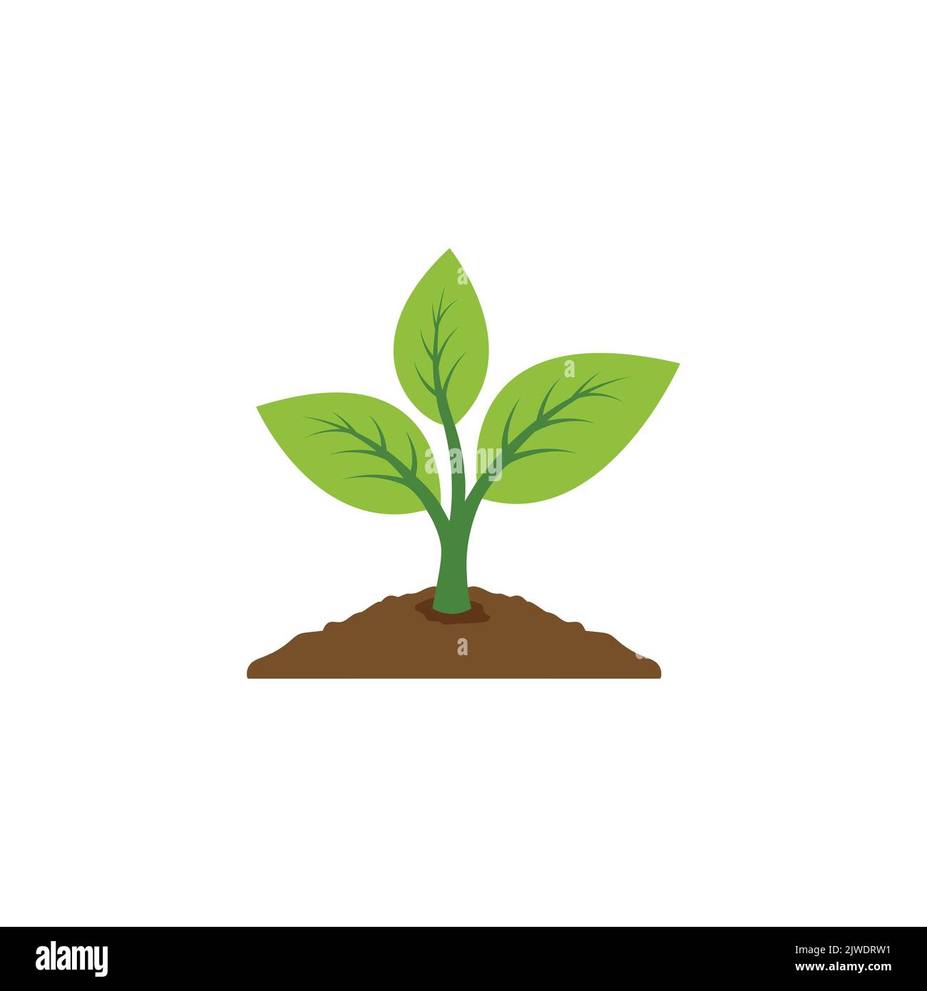 plant icon vector. leaf growing design. Seed and seeding vector icon. Flat design growing plant or tree logo symbol. Vector illustration Stock Vector