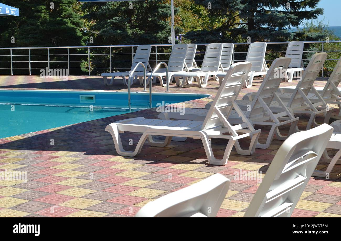 Poolside. Sunbeds near swimming pool surrounded by pine trees Stock