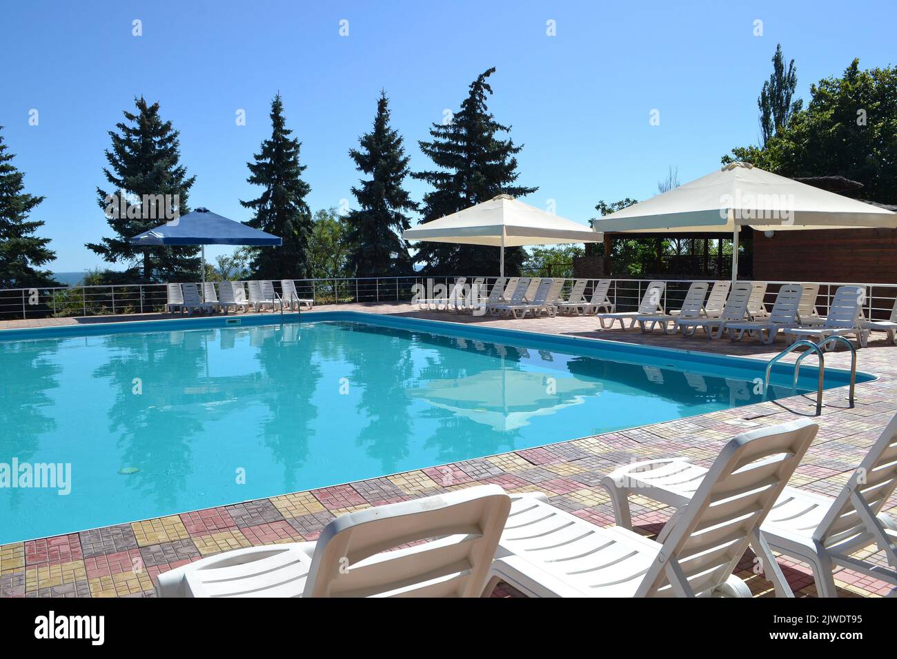 Poolside. Sunbeds near swimming pool surrounded by pine trees Stock