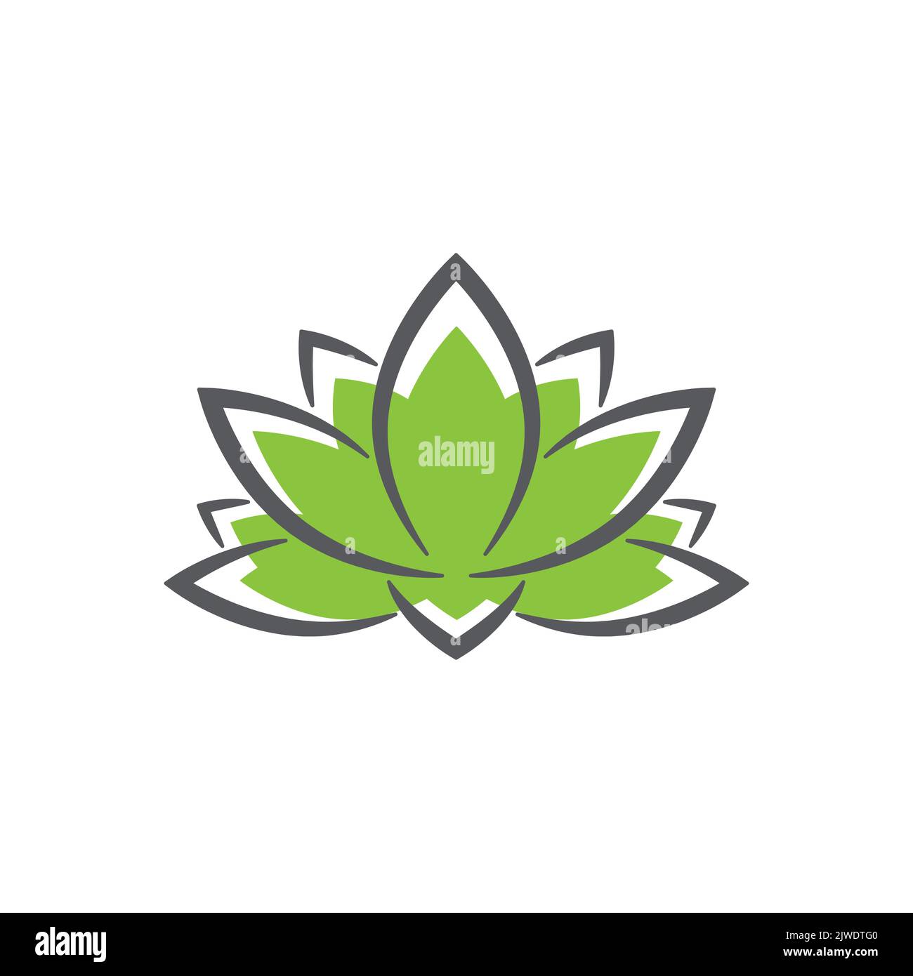 linear lotus logo templates. Vector floral linear lotus logo. Design lotus flower outline. Vector illustration. Lotus icon. Stock Vector