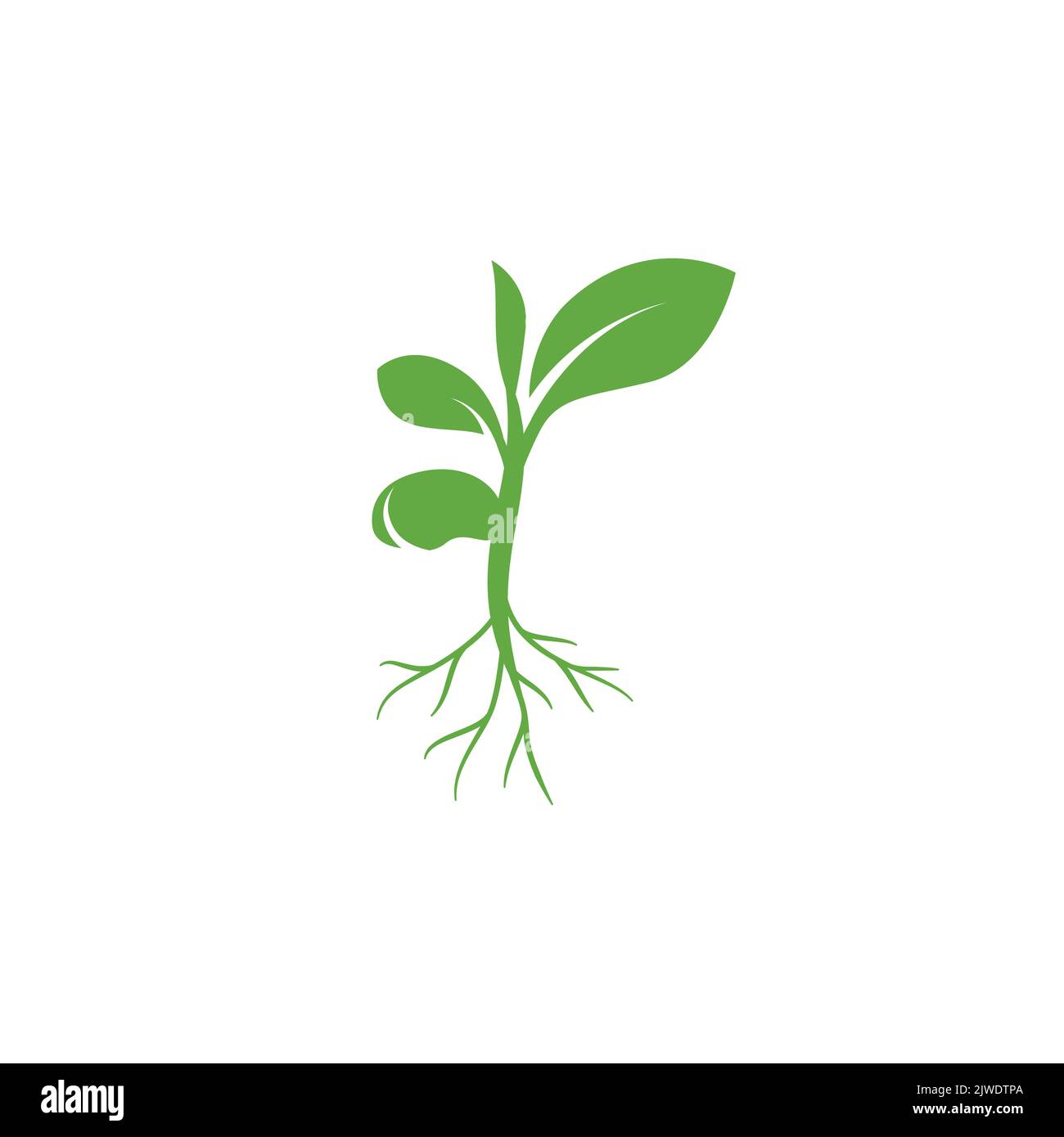 Sprout eco logo icon. Green leaf seedling icon symbol. Growing plant design concept. Eco icon theme. Ecology icon. seed growing icon. Vector illustration Stock Vector