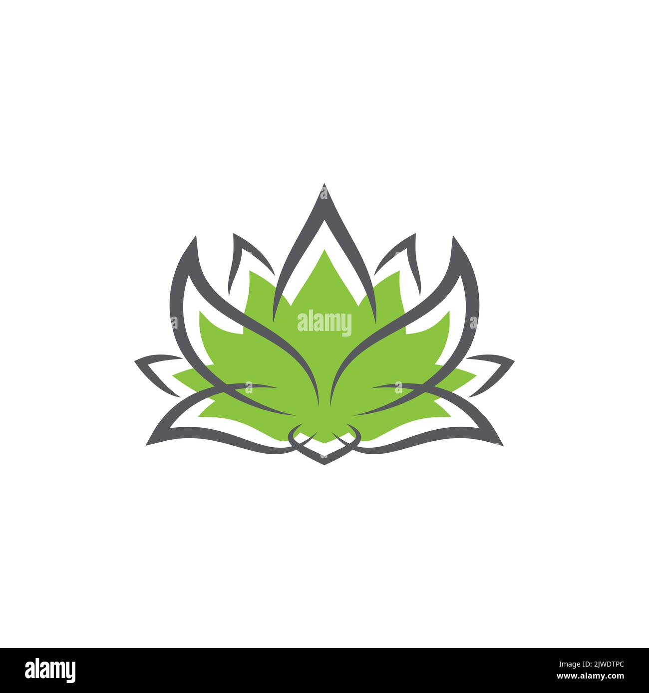 linear lotus logo templates. Vector floral linear lotus logo. Design lotus flower outline. Vector illustration. Lotus icon. Stock Vector