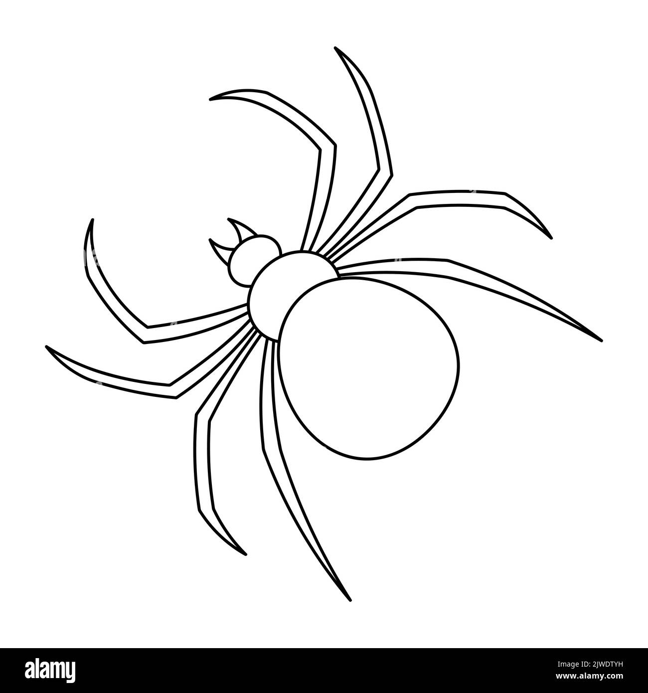 Spider.  Sketch. Bloodthirsty predator. Black Widow. Halloween symbol. A clever hunter. Vector illustration. Outline on an isolated white background. Stock Vector