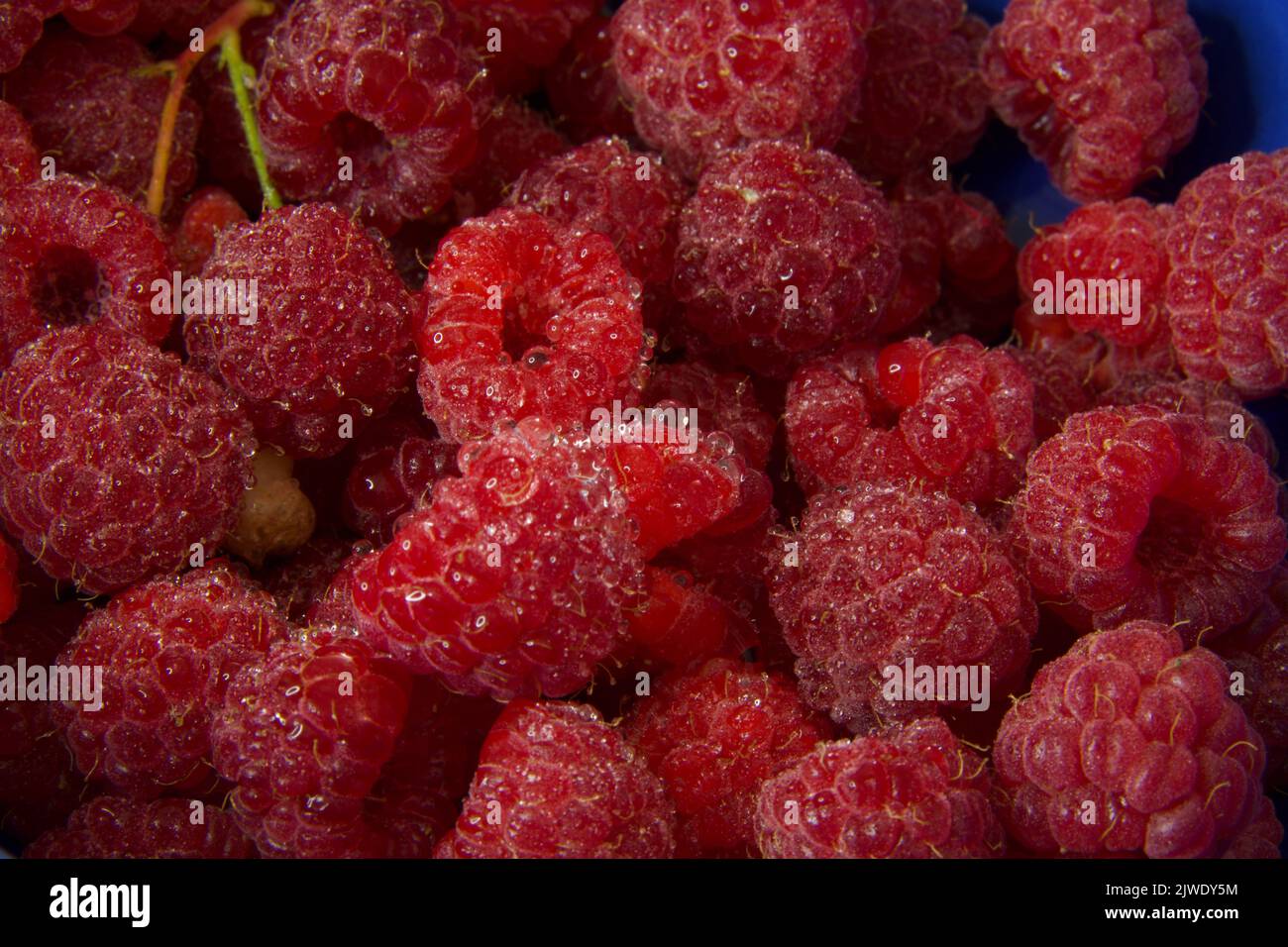 Fruits raspberry hi-res stock photography and images - Alamy