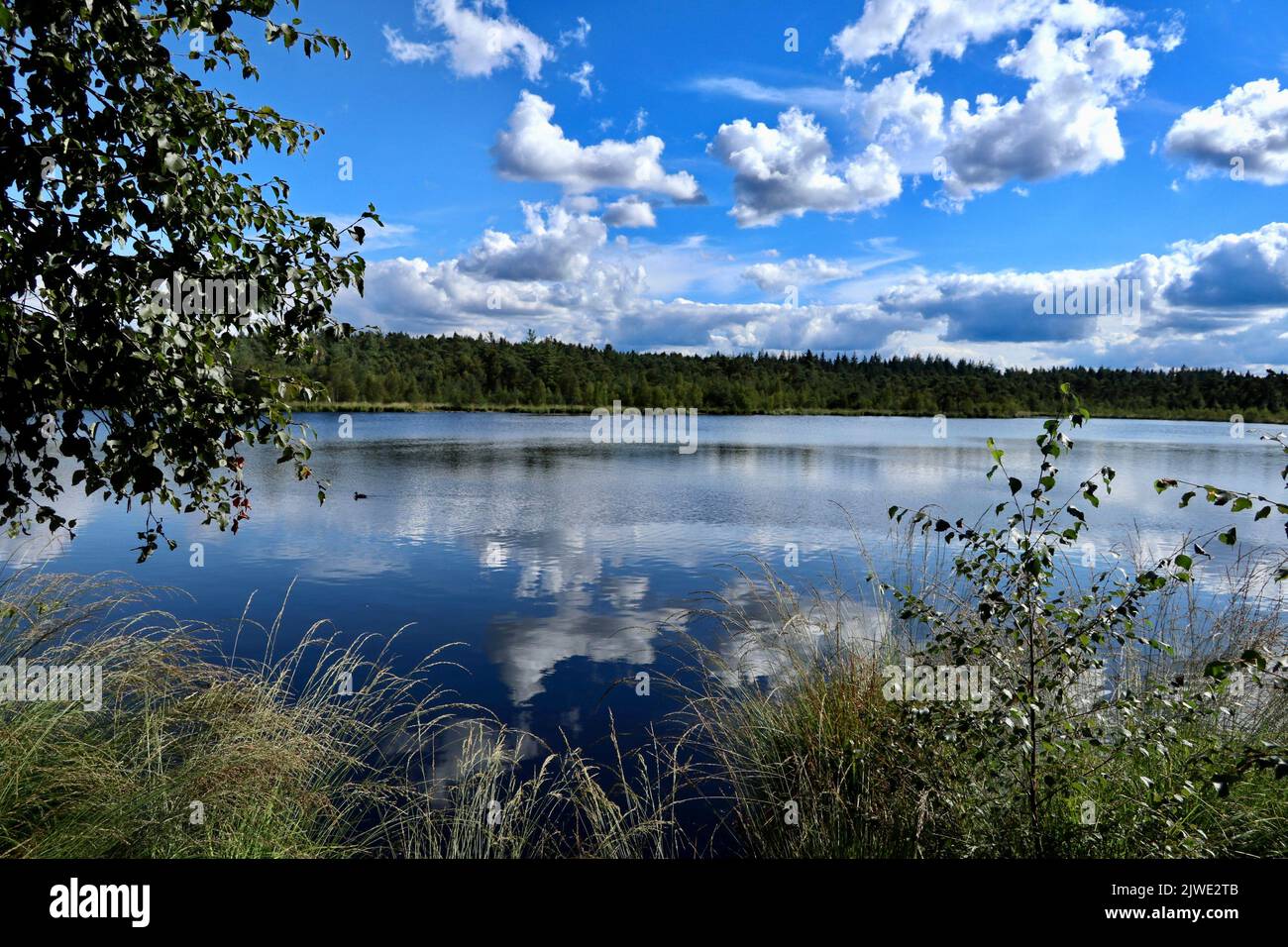 Grundloser See, or Bottomless Lake a nature reserve near Walsrode. Stock Photo