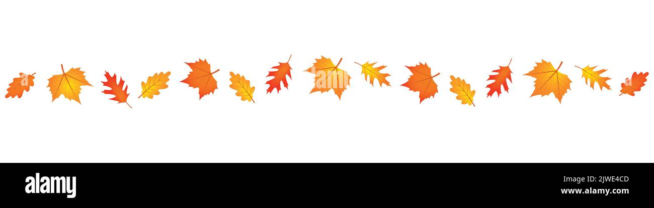 set of autumn leaves in the wind on white background Stock Vector Image ...