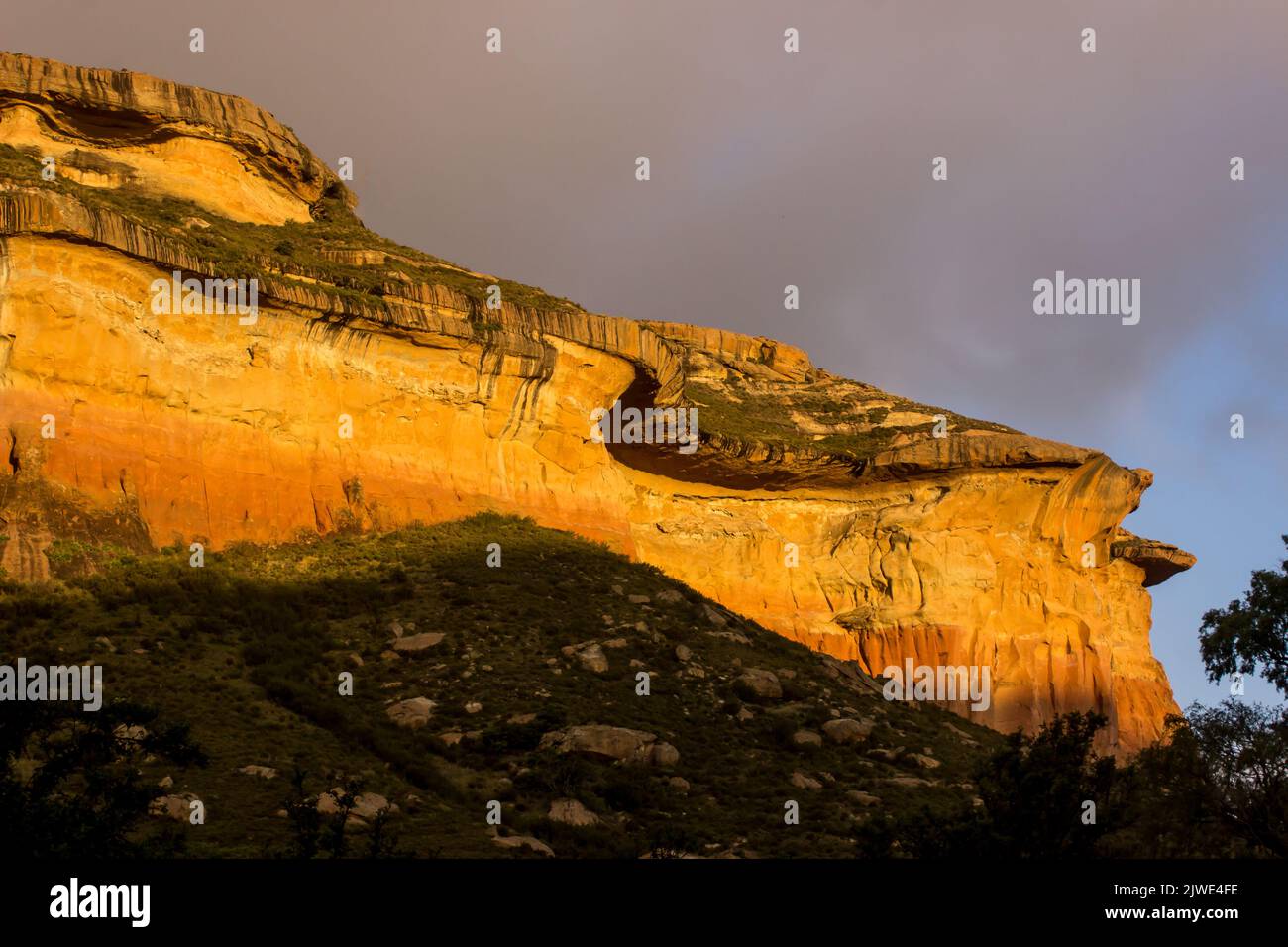 The Mushroom rock, one of the iconic landmarks of the Golden Gate Highlands National Park, South Africa, glowing gold in the light of the setting sun. Stock Photo