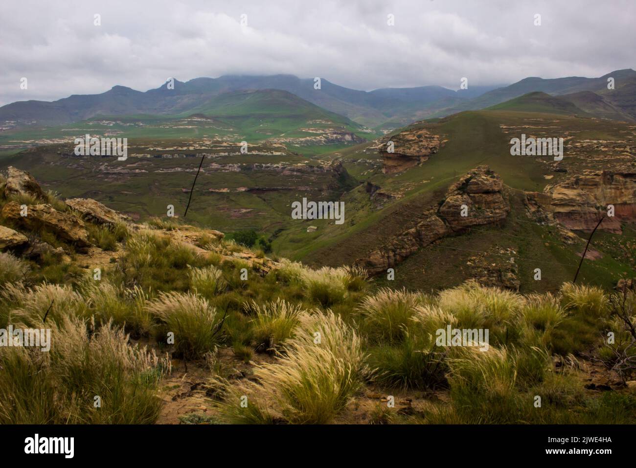 The distant blue mountain peaks, shrouded in thick grey rain clouds, in the Drakensberg Mountains of the Golden Gate Highlands national Park Stock Photo