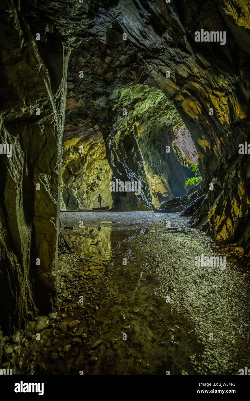 Little Langdale, Cumbria, UK. 5th September 2022. UK Weather. Late summer sunshine shining into Cathedral Quarry in the English Lake District. The quarries known as 'Cathedral Quarry'  for the spectacular cavern in the first chamber. Credit:greenburn/Alamy Live News. Stock Photo