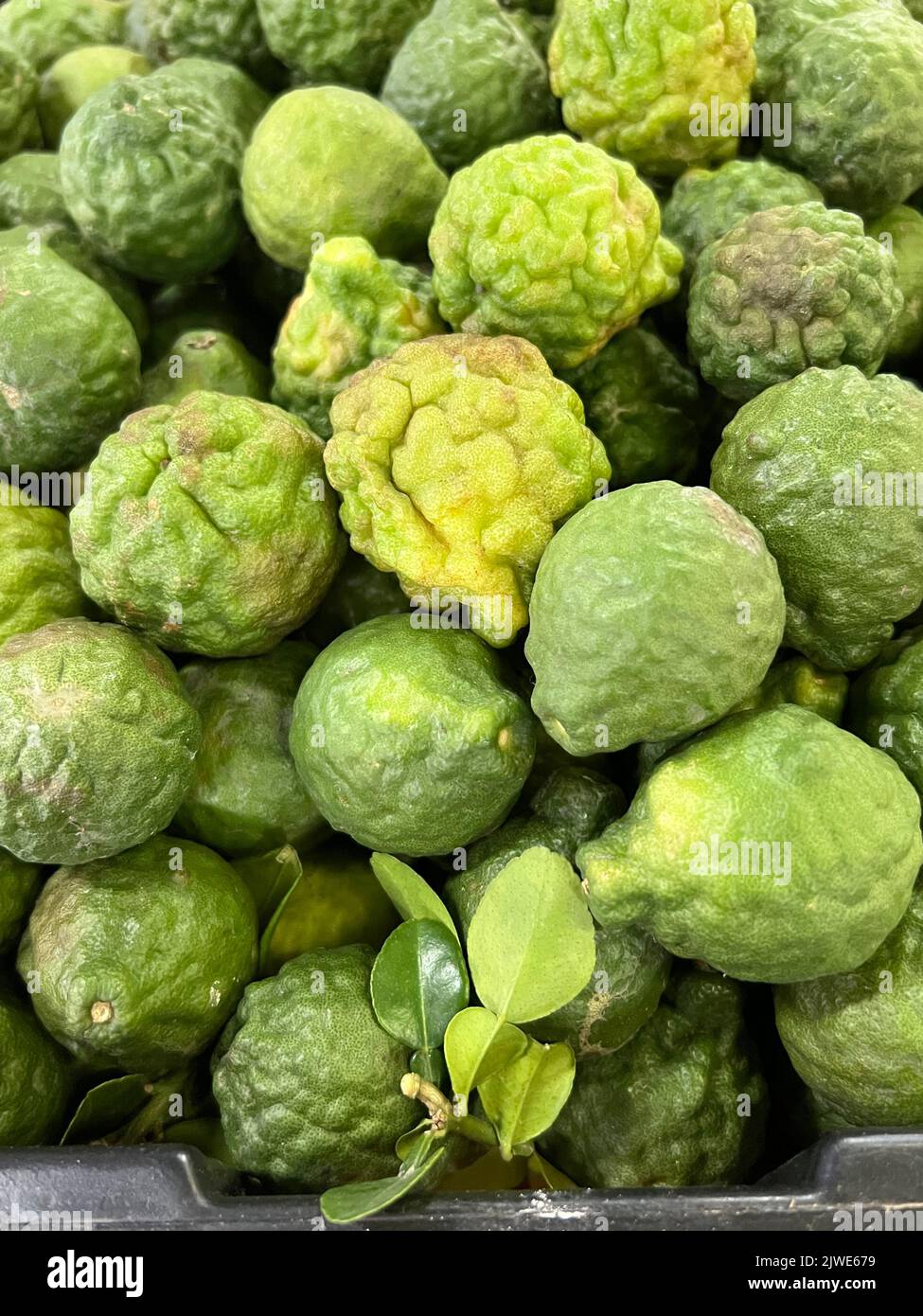 Kaffir limes hi-res stock photography and images - Alamy