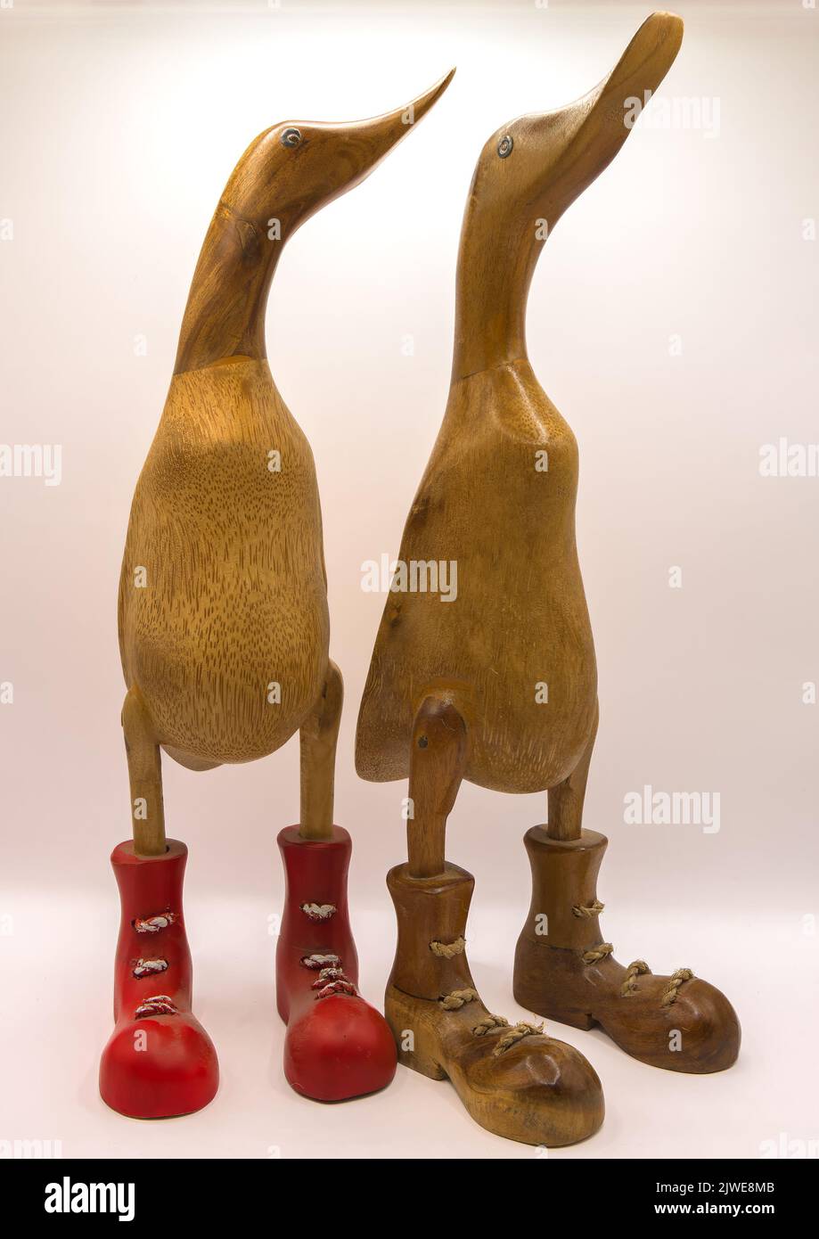 Character ducks in boots hi-res stock photography and images - Alamy