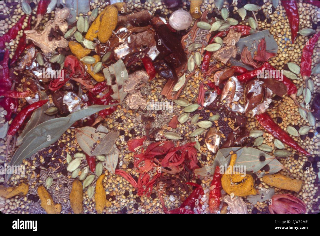 Image of tamarind leaves hi-res stock photography and images - Alamy