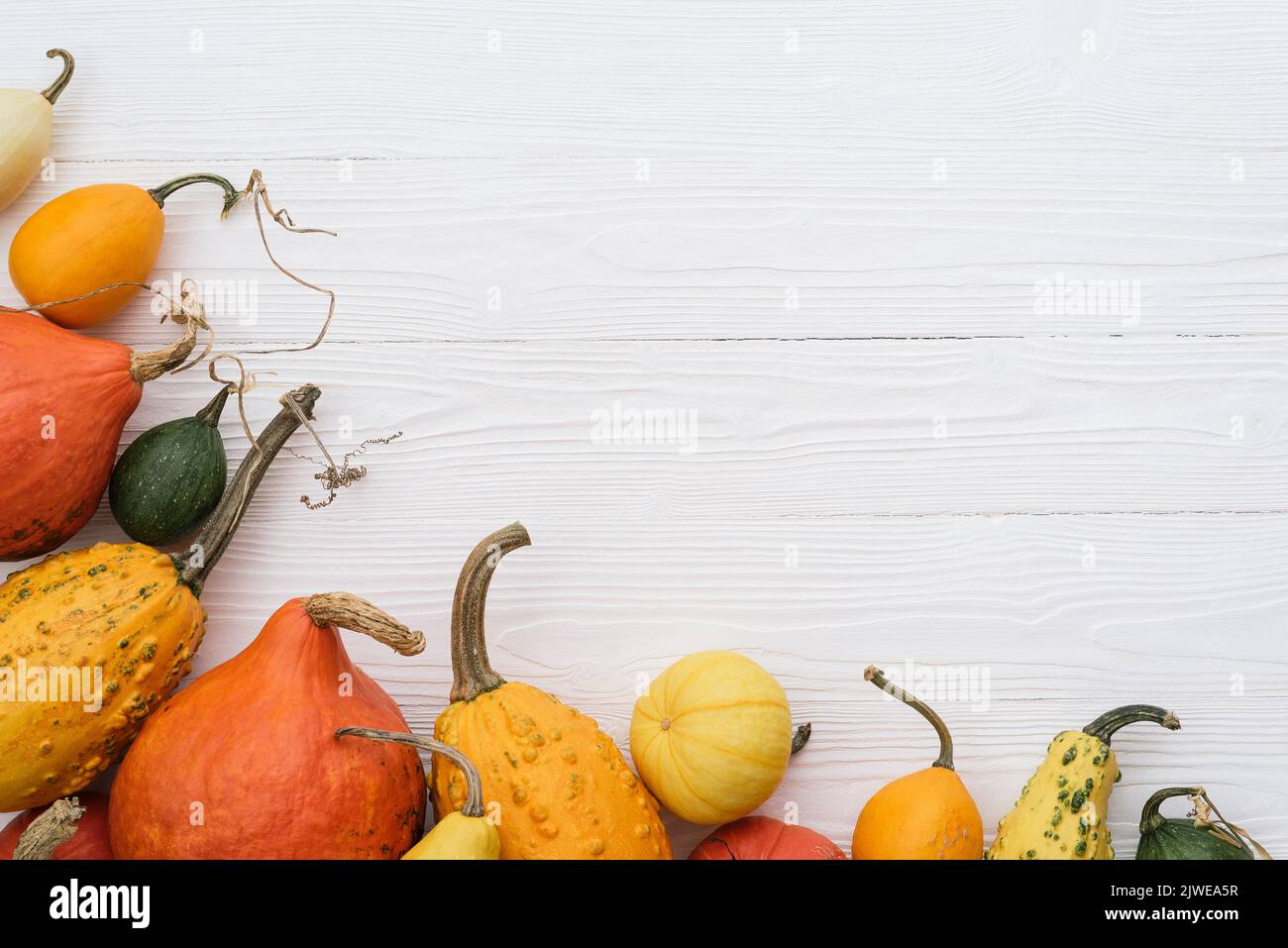 Autumn background with pumpkin border on white wooden background Stock Photo