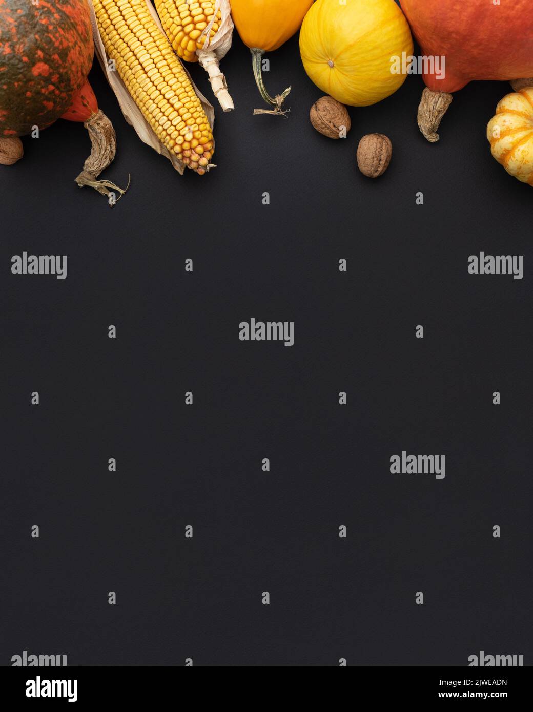 Harvest of winter squash and decorative pumpkins on black background with border Stock Photo