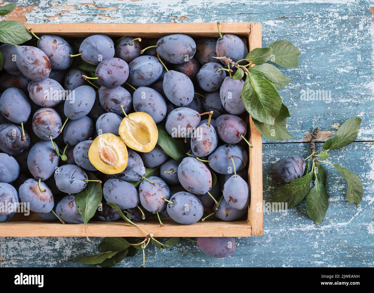 Harvested ripe plums in a wooden box on a rustic table Stock Photo