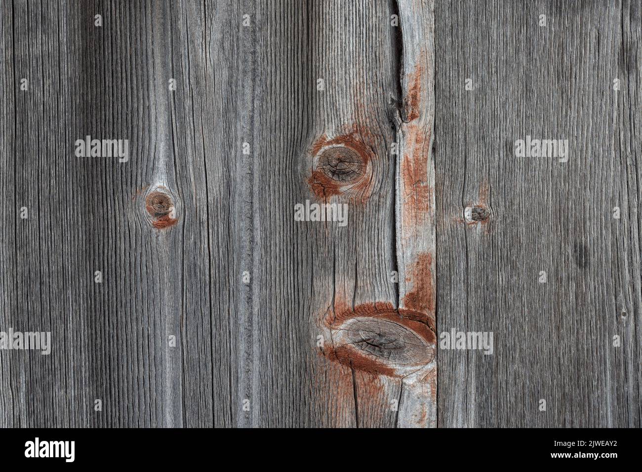 Background with natural texture of beautifully aged gray wooden planks Stock Photo