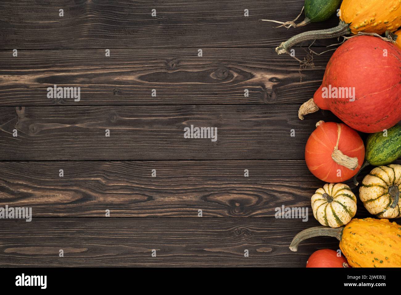Thanksgiving day greeting card with pumpkin, decorative gourds and winter squash on wooden background Stock Photo