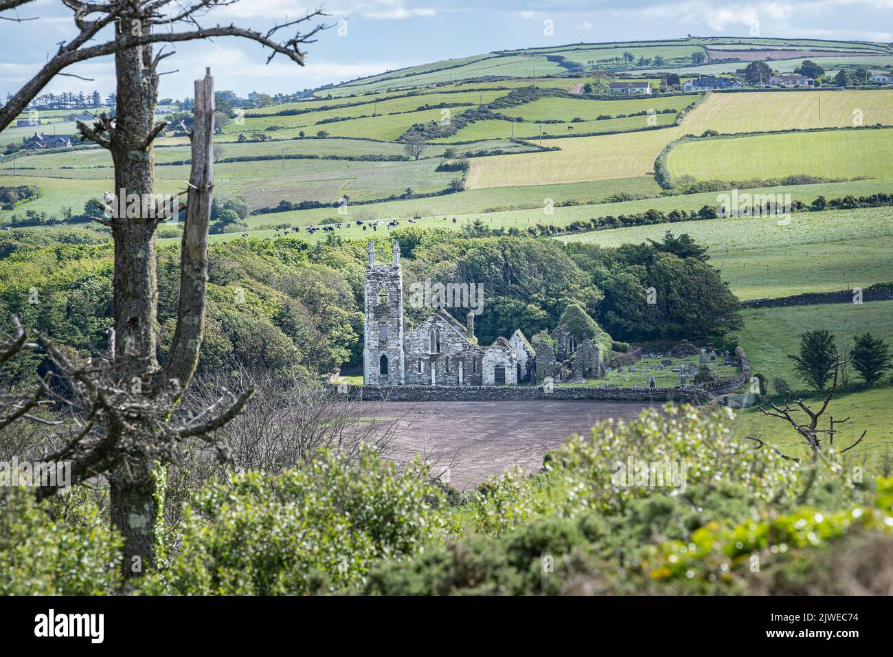 The ruins of Rathbarry Church, Castlefreke, County Cork, Ireland Stock Photo