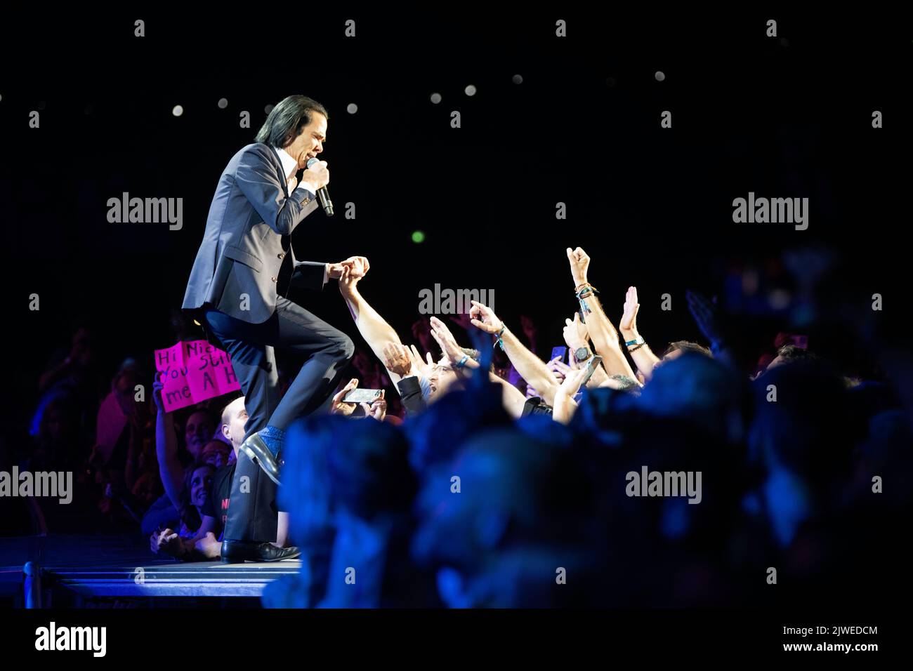 the exhibition of Nick Cave And The Bad Seeds at Rock En Seine Festival
