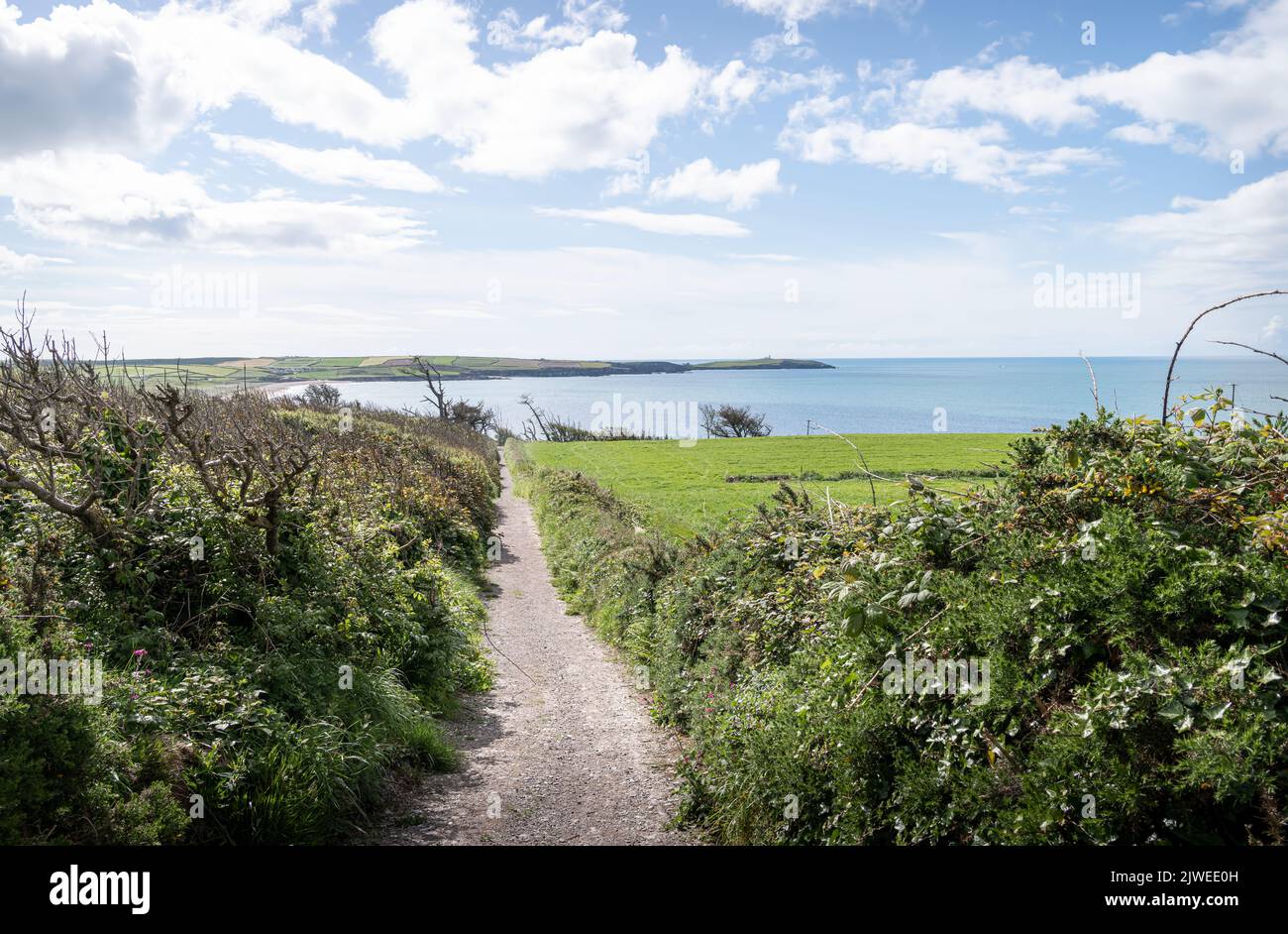 Footpath from Carbery Cross to Long Strand Beach in County Cork, Ireland Stock Photo