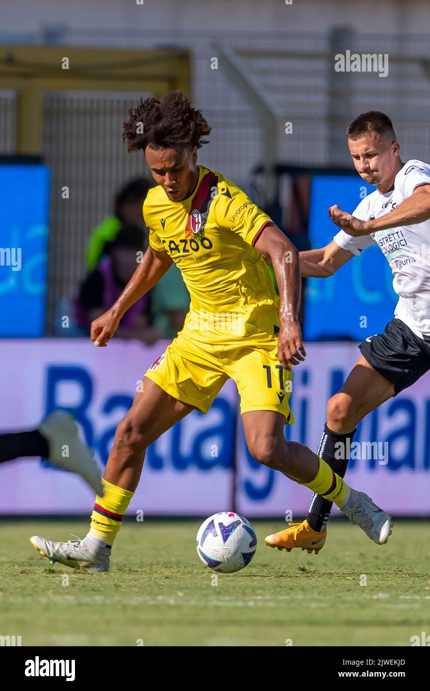 la-spezia-italy-september-4-2022-joshua-zirkzee-bologna-during