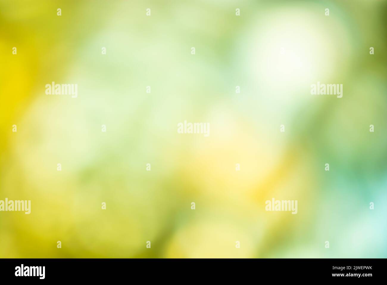 Yellow green blurred background with soft gradient and bokeh. Backdrop Stock Photo