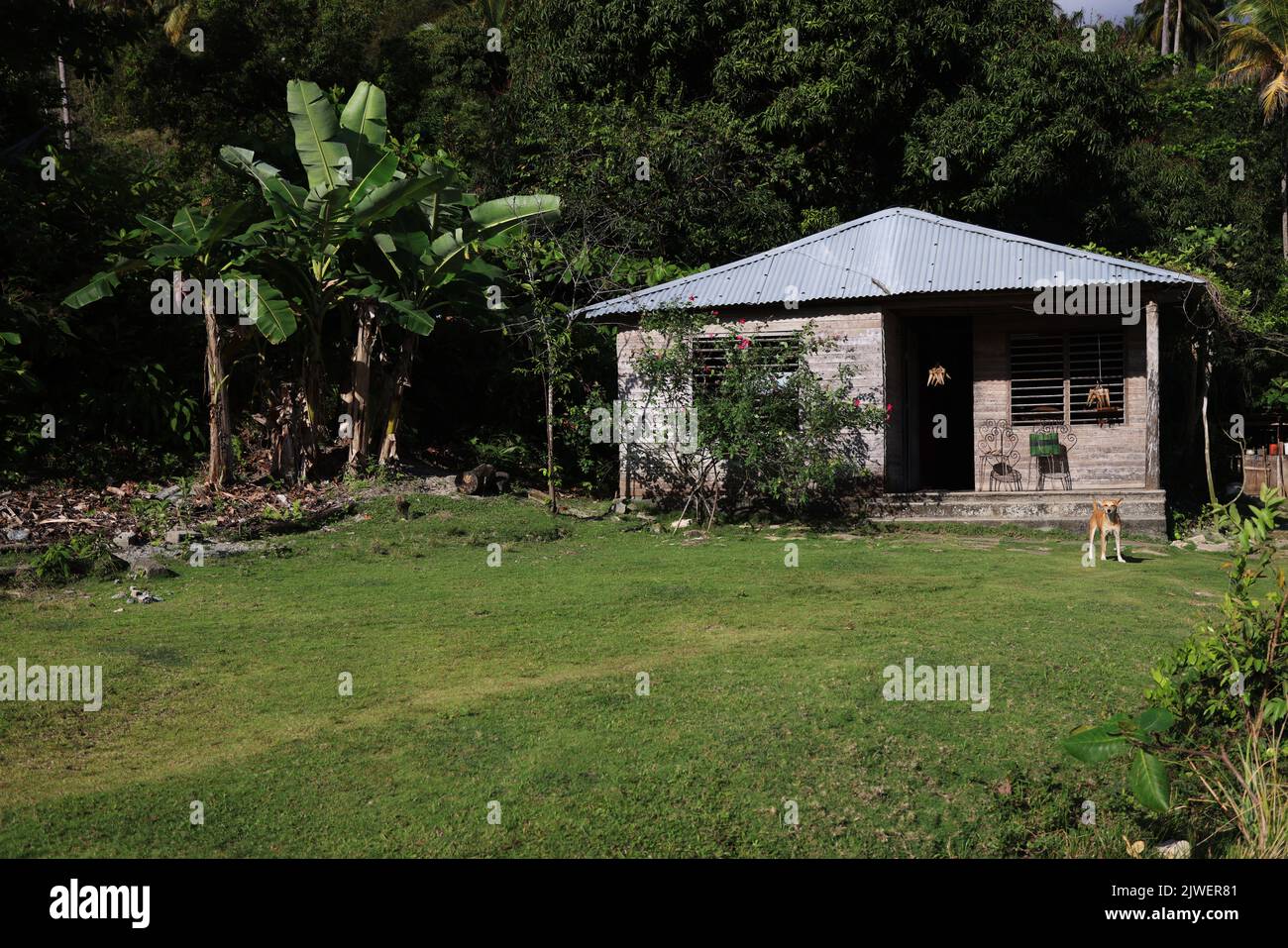 Typical Cuban house in Humboldt National Park, Cuba Stock Photo Alamy