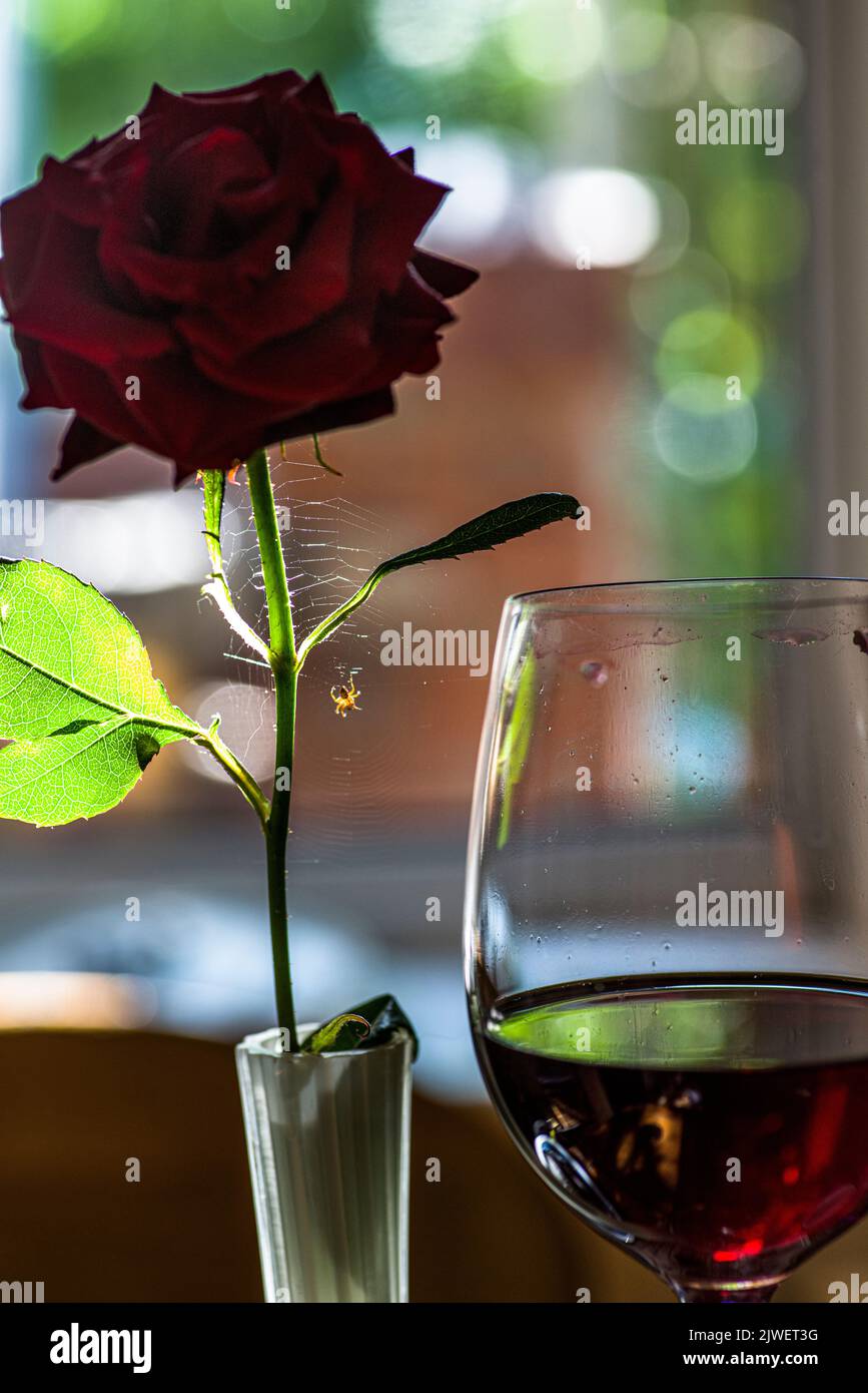A rose, with a spiderweb, and a glass with Pinot Noir wine Stock Photo