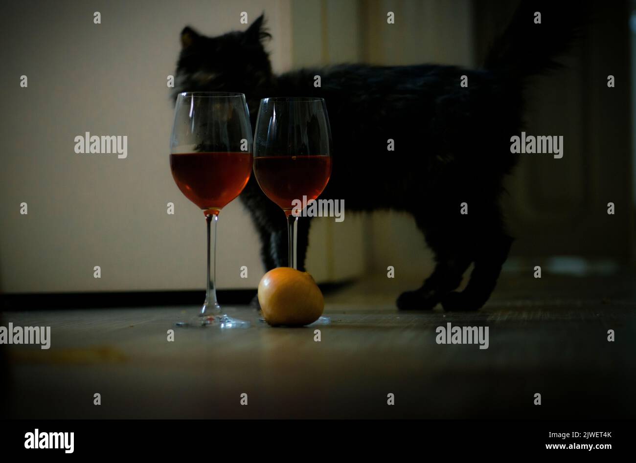 Cat deals wine glasses