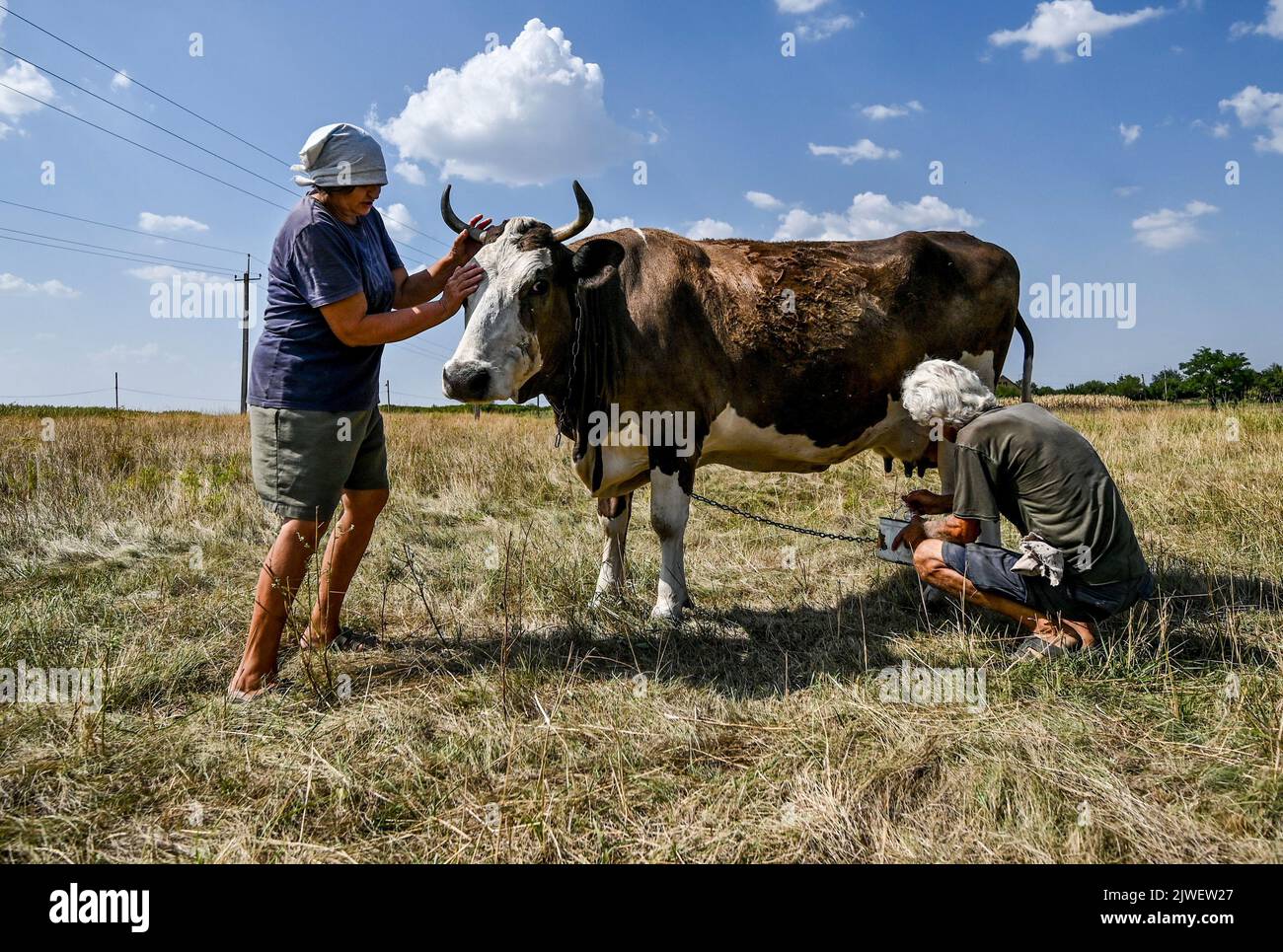 KOMAR, UKRAINE AUGUST 30, 2022 Farmers Mykola Ivanovych and his