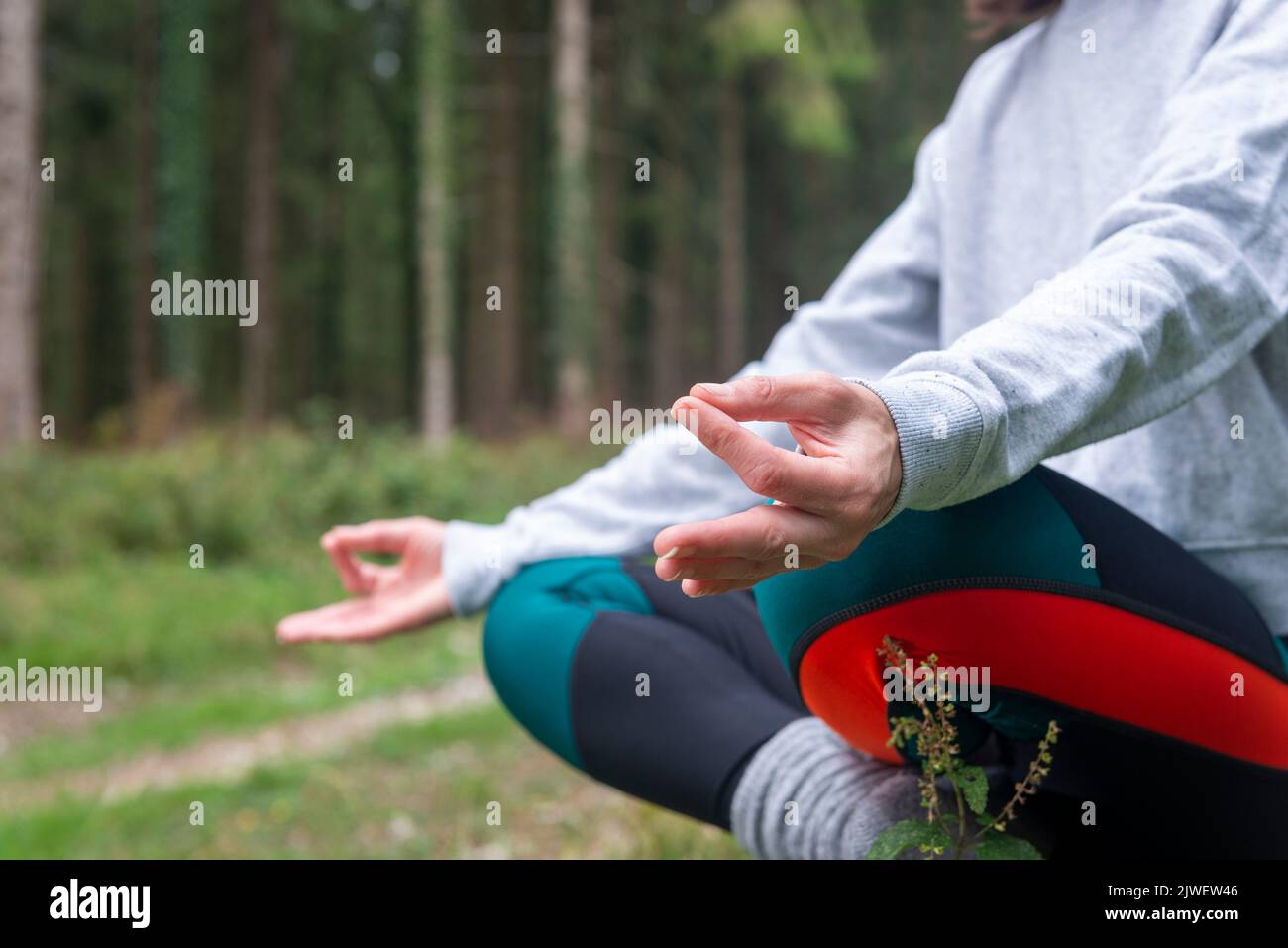 Close up of a person practicing yoga in a forest, yoga hands. Stock Photo