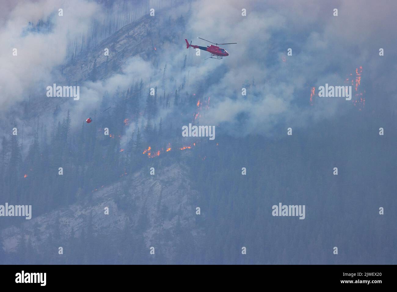 helicopter dropping water on active forest wildfire Stock Photo Alamy